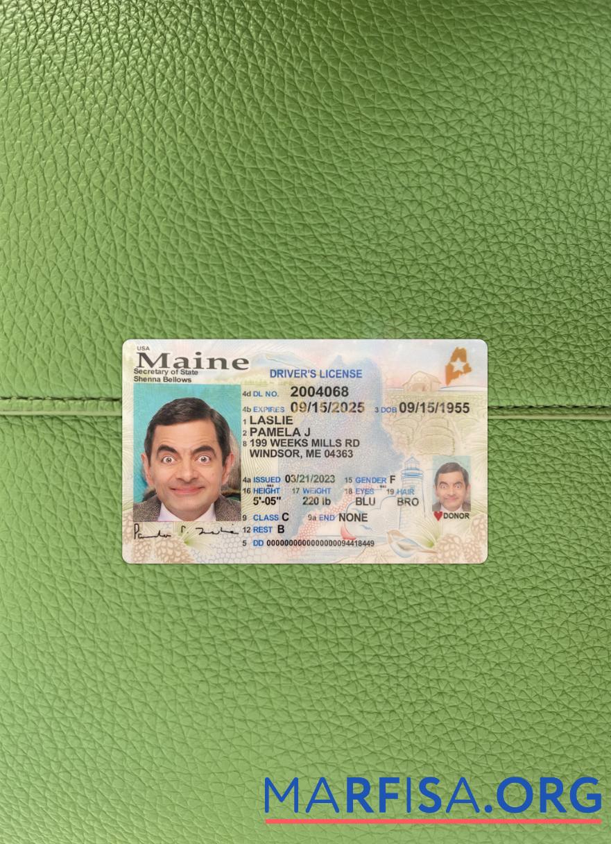 Printable USA Maine driving license 2023 present photolook sample